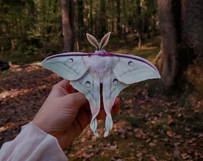 Handmade Actias Selene Moth Hair Clip - hair clip, barrette, brooch