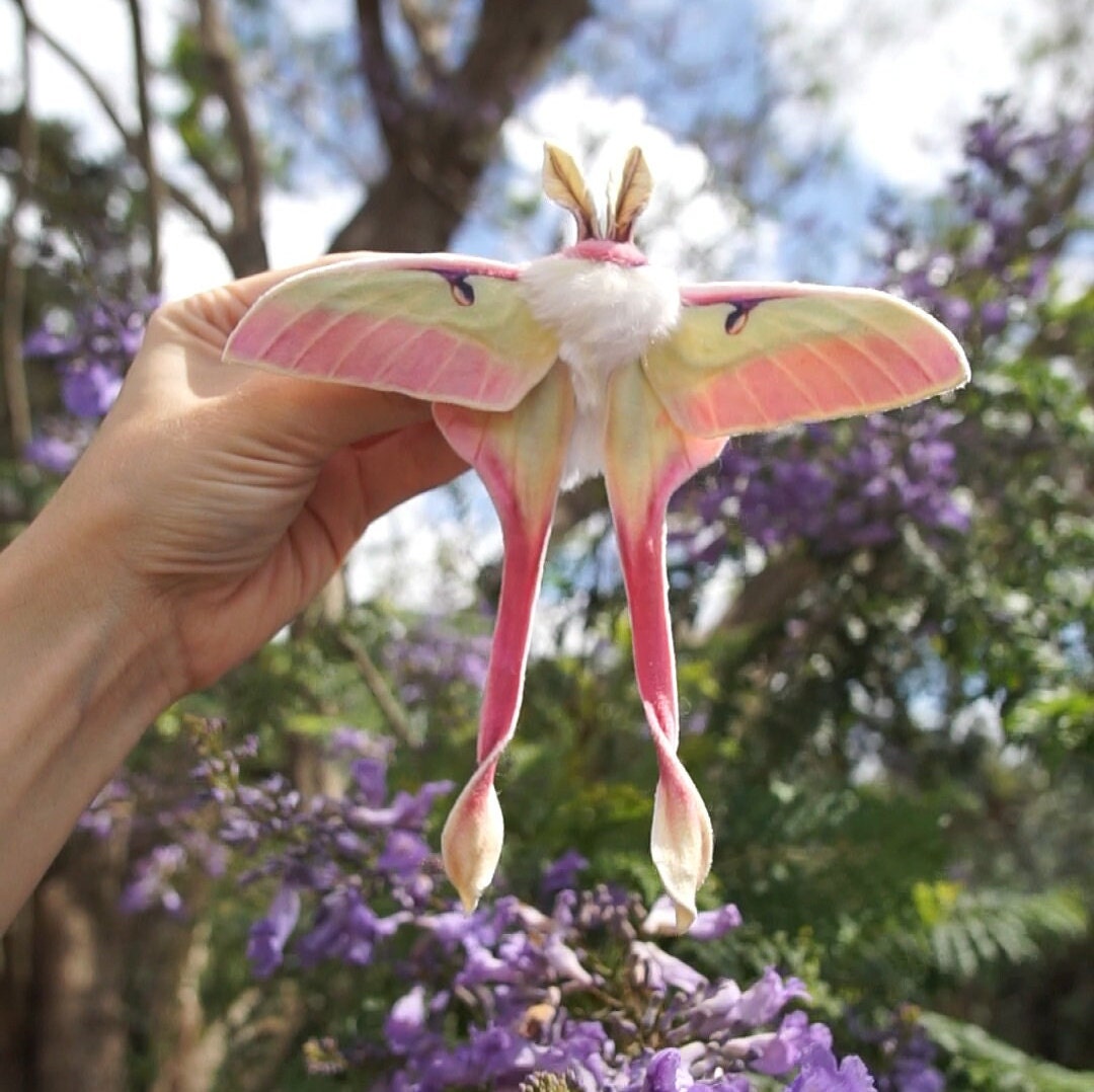 Realistic Chinese Moon Moth Textile Hair Clip Or Brooch