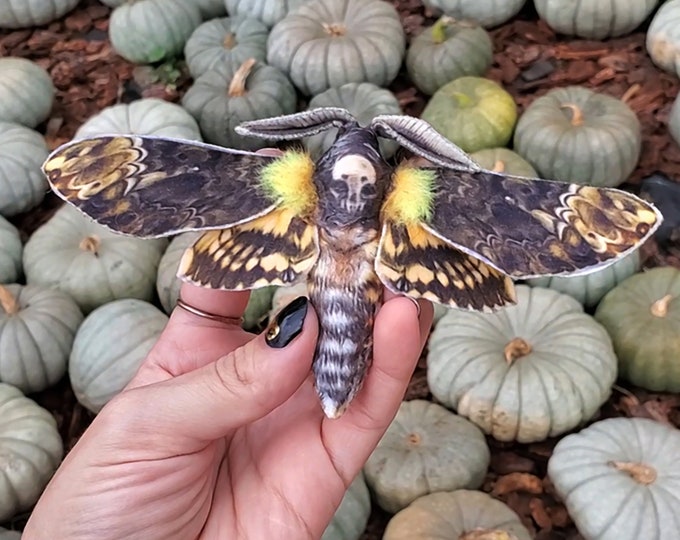 Handmade Death's Head Hawk Moth hair clip or brooch: made-to-order