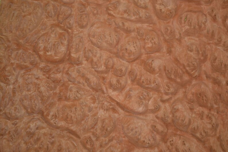 Eucalyptus Burl Raw Wood Veneer Sheets 8 x 9 inches 142nd or .6mm thick