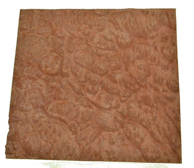 Eucalyptus Burl Raw Wood Veneer Sheets 8 x 9 inches 142nd or .6mm thick