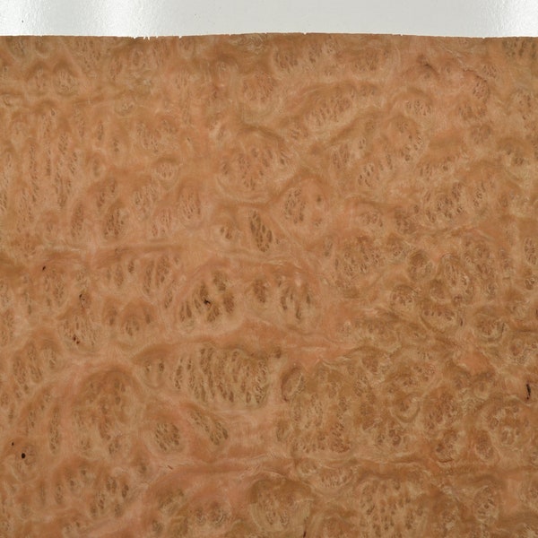 Eucalyptus Burl Raw Wood Veneer Sheet 11 x 11.5 inches 1/42nd or .6mm thick