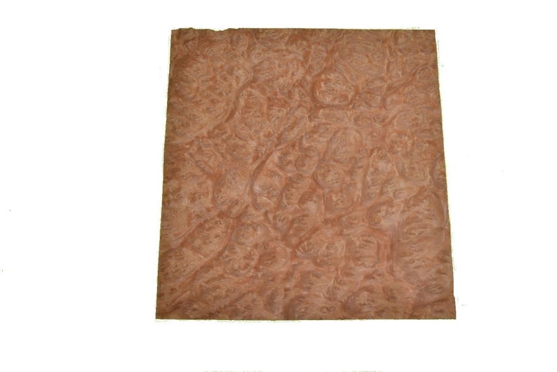 Eucalyptus Burl Raw Wood Veneer Sheets 8 x 9 inches 142nd or .6mm thick