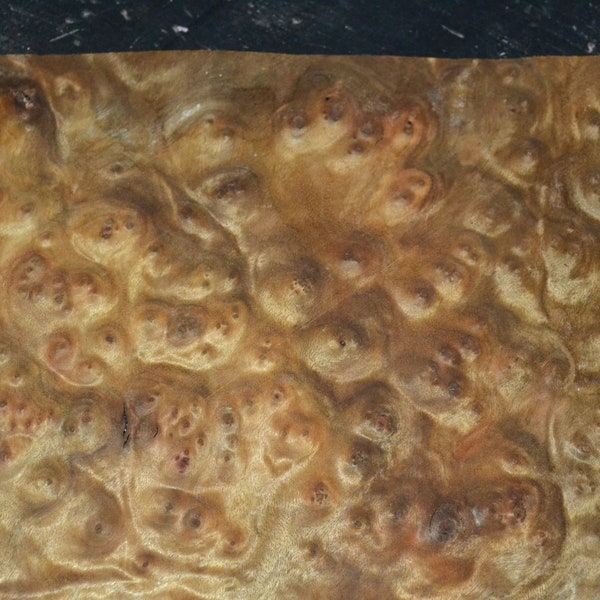 Hoja de chapa de madera de alcanfor Burl de 11 x 11 pulgadas 1/42 o .6 mm de espesor