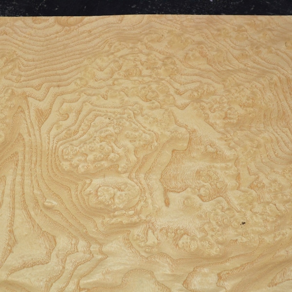 Ash Burl Wood - Etsy