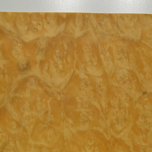 Myrtle Burl Raw Wood Veneer Sheet 7.5x 8.5 inches 1/50th  thick