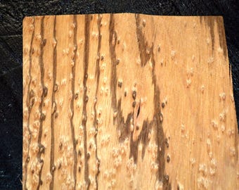 May include: A rectangular piece of light tan wood veneer featuring a natural burl grain pattern. The surface displays vertical dark brown streaks and numerous small, raised circular knots distributed across the light-colored wooden grain.