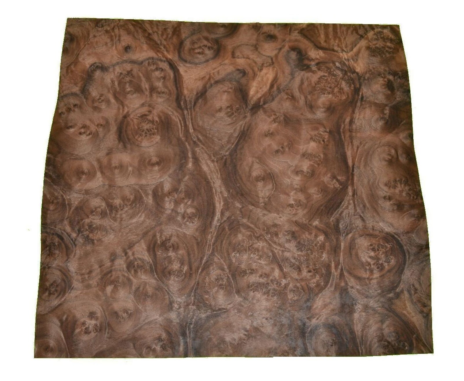 clustered maple burl veneer