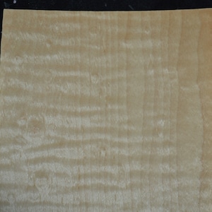 Peut inclure: Une feuille de placage de bois brun clair avec un motif de grain ondulé.