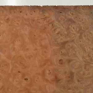 Elm Burl Raw Wood Veneer Sheet 8 x 9 inches 1/42nd or .6mm thick