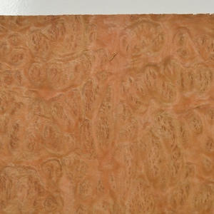 Eucalyptus Burl Raw Wood Veneer Sheet 6 x 9 inches 1/42nd or .6mm thick