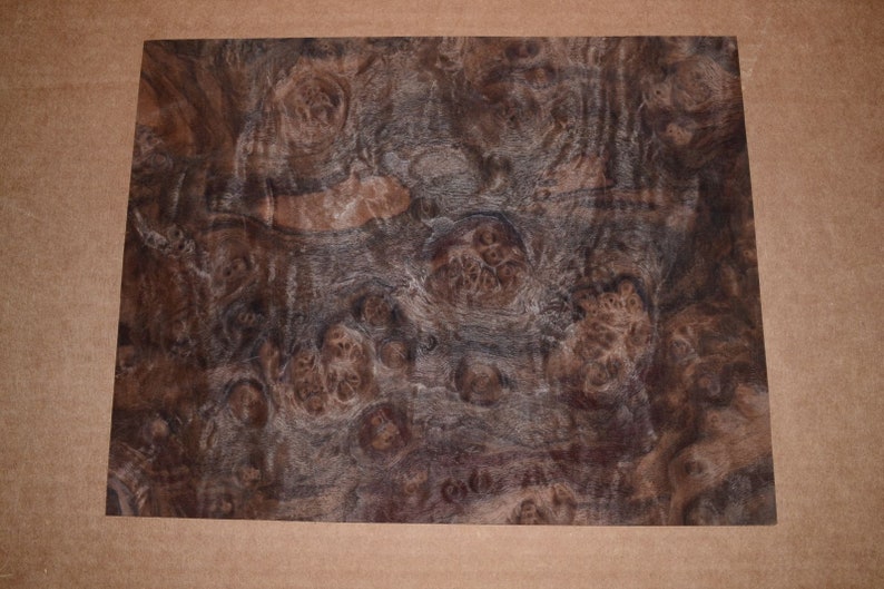 clustered maple burl veneer