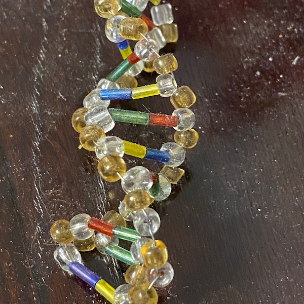 DNA Bead Model Kit