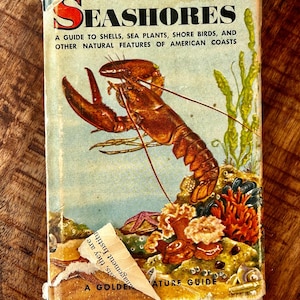 Rare Vintage Book SEASHORE 1955 Colored Pictures, Hardcover with original Dust Cover