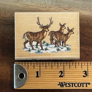 May include: A rectangular wooden stamp featuring a brown deer with large antlers standing in a snowy field, with three other deer behind it. The stamp is approximately 2.5 inches long, with a ruler in the foreground.