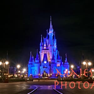 Cinderella Castle middernacht foto-Instant Digitale Download