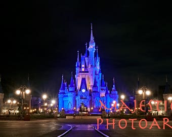 Cinderella Castle Midnight Photograph-Instant Digital Download