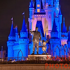 Cinderella Castle Partners Statue-Instant Digital Download