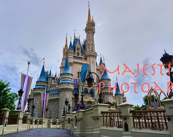 Cinderella Castle Entrance Photograph-Instant Digital Download