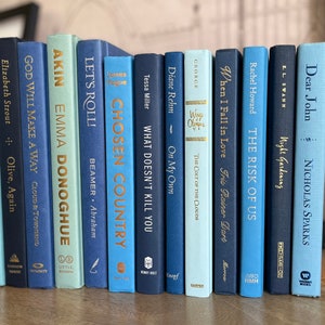 Blue book stack, blue books for home decor, books by color, books home staging, shelf decor, bookshelf