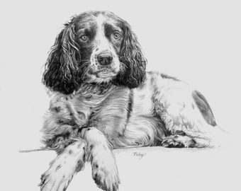 Original custom animal portrait in graphite pencil