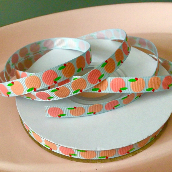 3/8” Peaches on Pale Blue Grosgrain Ribbon