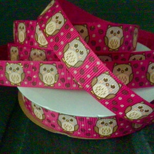 5/8” Owls on Shocking Pink Grosgrain Ribbon