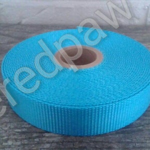 1&quot; Ice Blue Heavy Duty Nylon Webbing