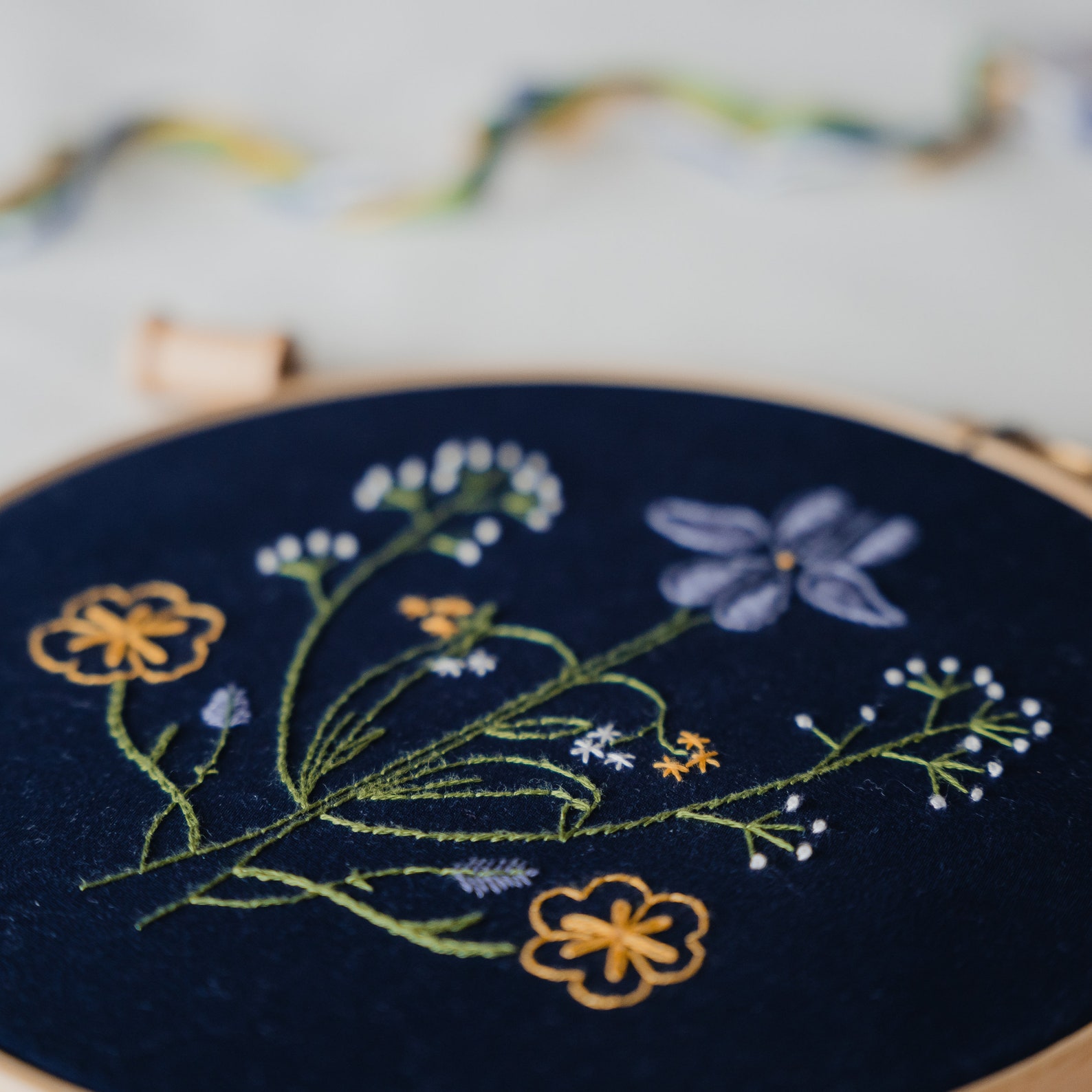 Botanical Embroidery Kit Craft Kit for Beginners Paisley Etsy UK