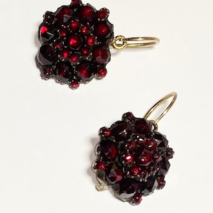 Earrings with garnets