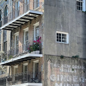 Ginger Mint Julep Ghost Sign, French Quarter, New Orleans Photography, New Orleans Wall Art, New Orleans Decor