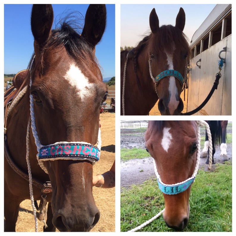 Custom Beaded Mule Tape Horse Halter Etsy