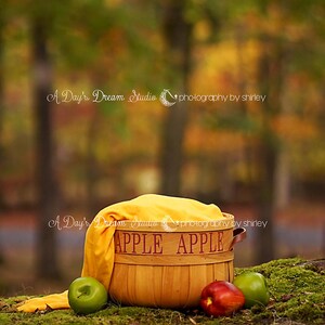 Newborn Fall Backdrop Apple Basket