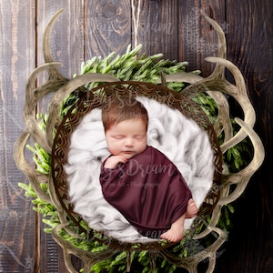 Newborn Deer Antler Basket Background