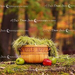Newborn Fall Apple Basket Digital Backdrop