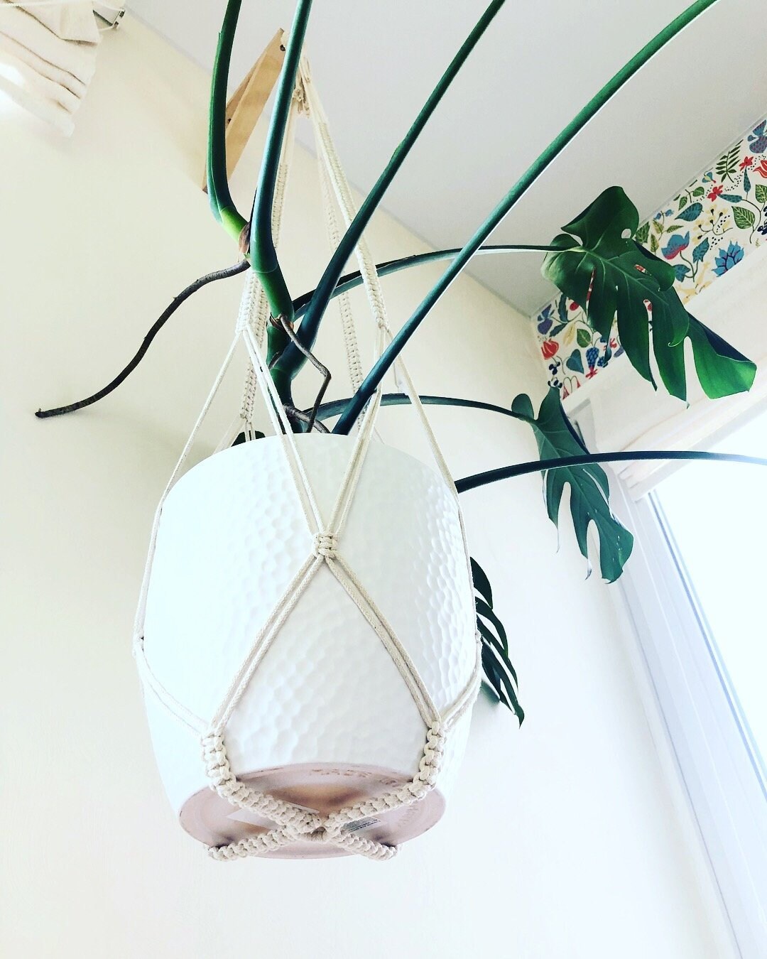 Extra Large Macrame Plant Hanger Without Tassel on Bottom Etsy