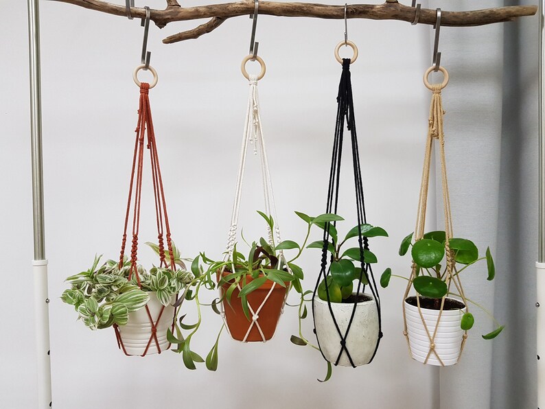 Mini Modern Macrame Plant Hanger Without Tassel on Bottom Etsy