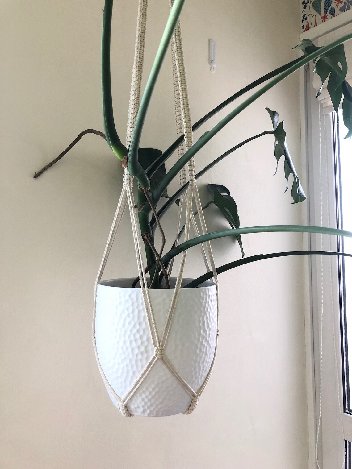 Extra Large Macrame Plant Hanger Without Tassel on Bottom Etsy