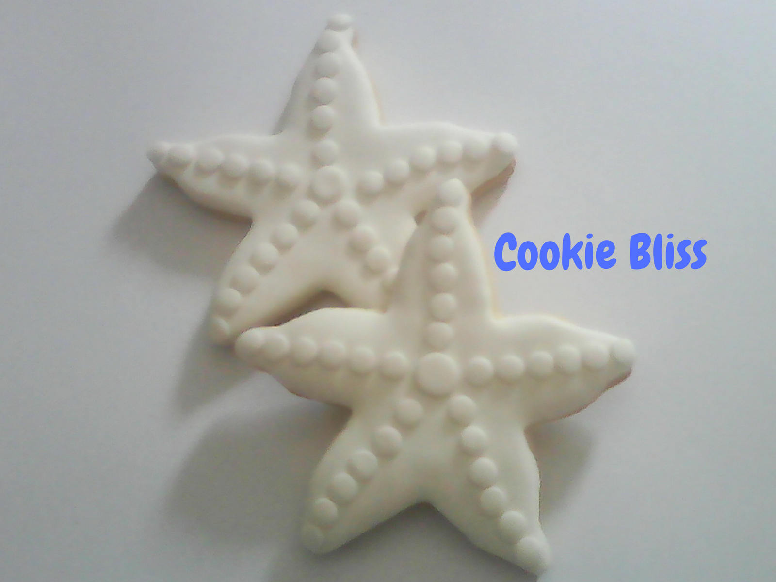 12 Starfish Decorated Sugar Cookies Baked Goods Sugar Cookie Etsy