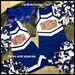 Cheerleader Uniforms , Girls Cheer Uniforms, School Spirit, Ladies Cheer, Custom Design Tees, Girls Cheer Tops, School Spirit Uniforms