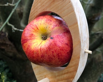 Bird feeder, fruit holder.
