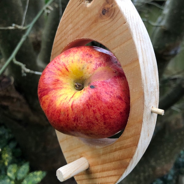 Bird feeder, fruit holder.