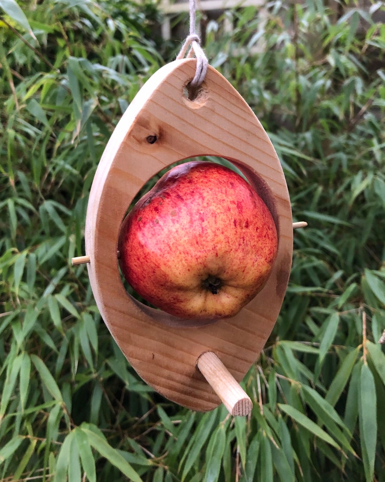 Bird Feeder Fruit Holder. Etsy