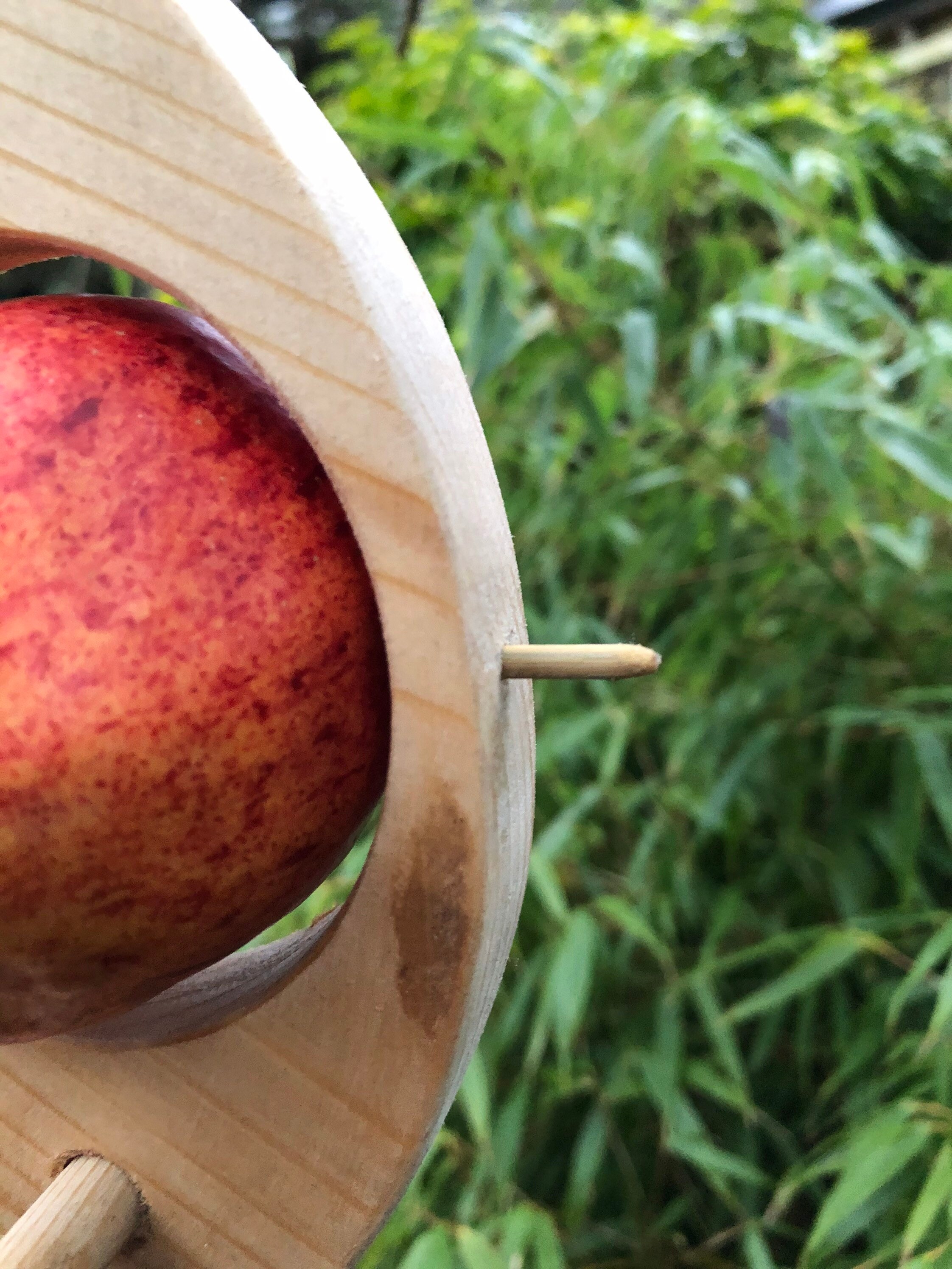 Bird feeder fruit holder. Etsy