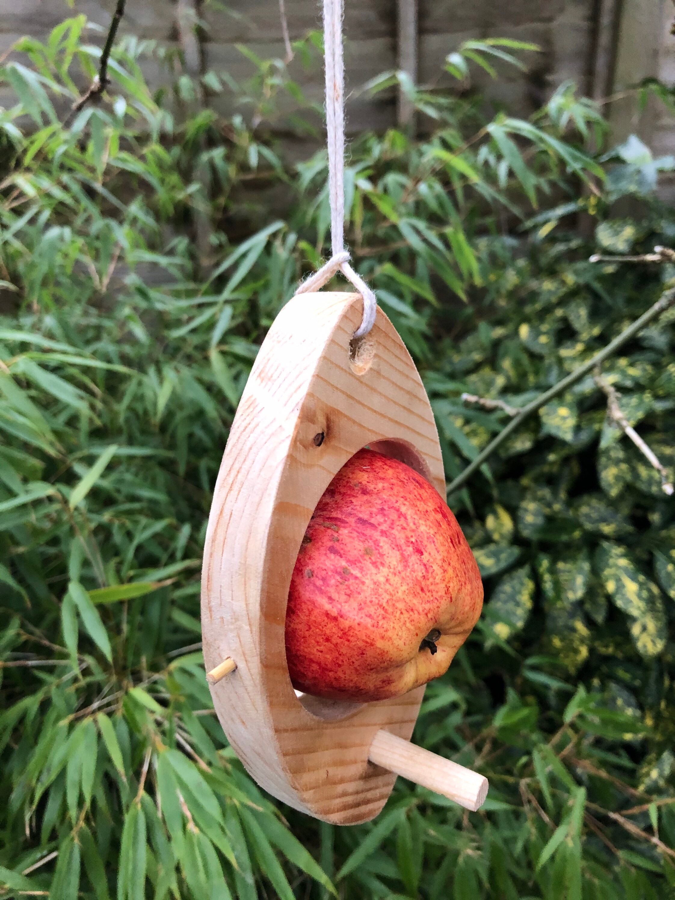 Bird feeder fruit holder. Etsy