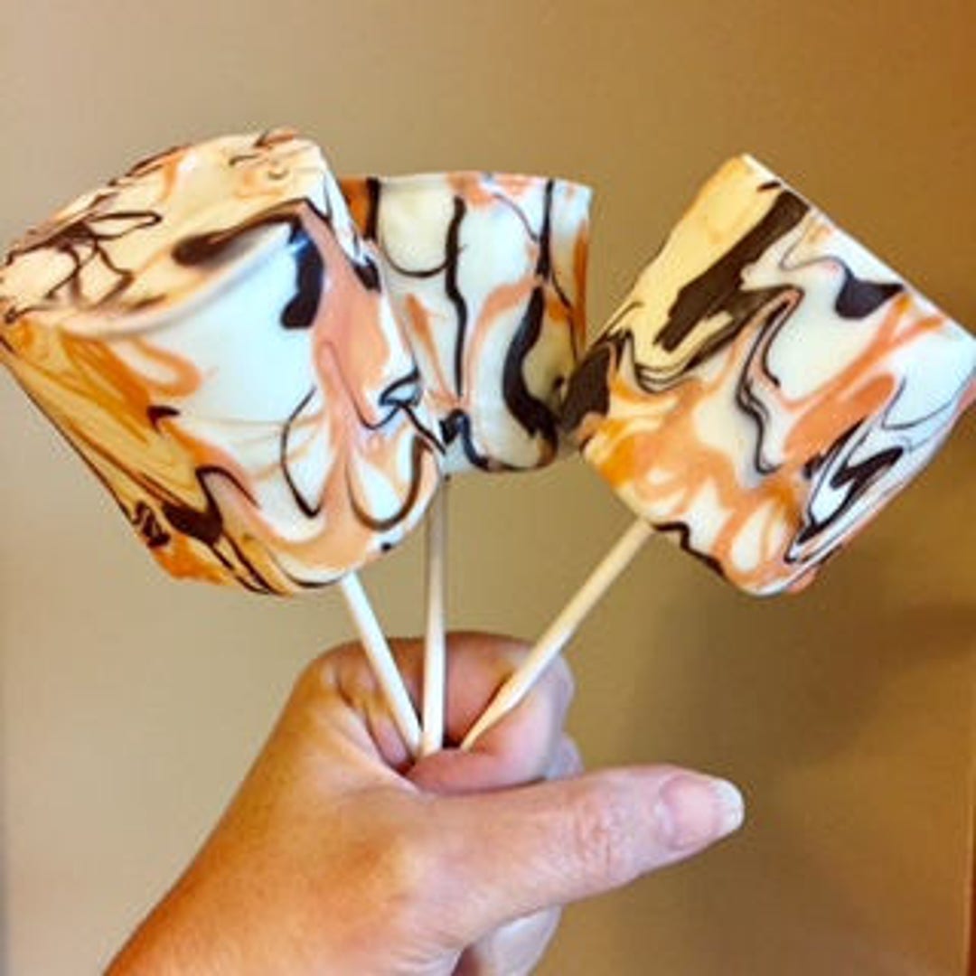 Chocolate Covered Jumbo Marshmallows Pops, Thanksgiving Favors, Birthday Party Favors, Dessert