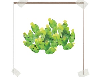 Prickly Pear | Blank Inside Card | Free Personalisation