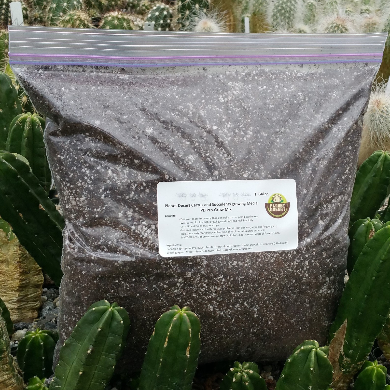 Cactus mix soil blend 1 gallon Cactus Cacti Real Live Etsy