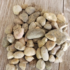 1 Lb 3/8 Del rio pebble river rock Cactus and Succulent Top Soil Dressing
