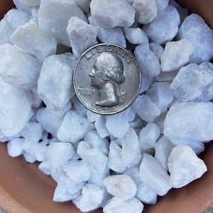 1 Lb White pebbles Rock Cactus and Succulent Top Soil Dressing